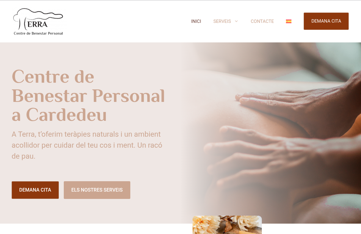 portada_terracentre SomMarketing - Desenvolupament web wordpress